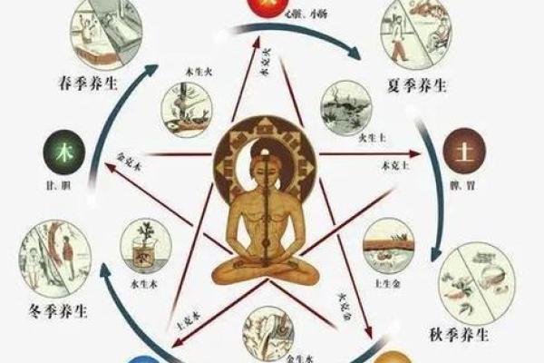 探索木命生肖的五行相生相克关系 探索木命生肖的五行相生相克关系
