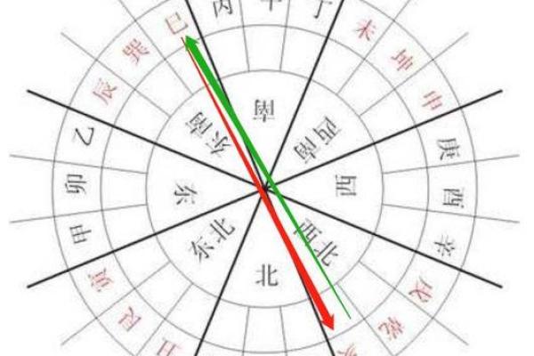 属猪人的未来运势如何?解读吉凶与转运策略 属猪人的未来运势如何?解读吉凶与转运策略