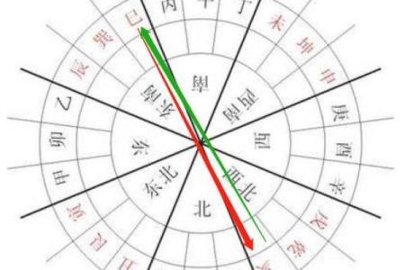 属猪人的未来运势如何？解读吉凶与转运策略