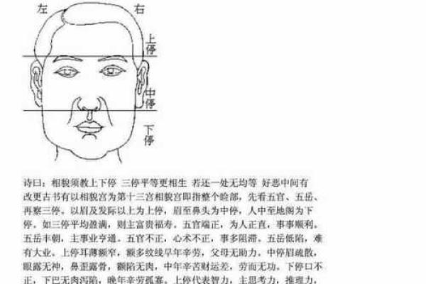 女人面相风水秘诀:如何通过面相改善事业发展 女人面相风水秘诀:如何通过面相改善事业发展