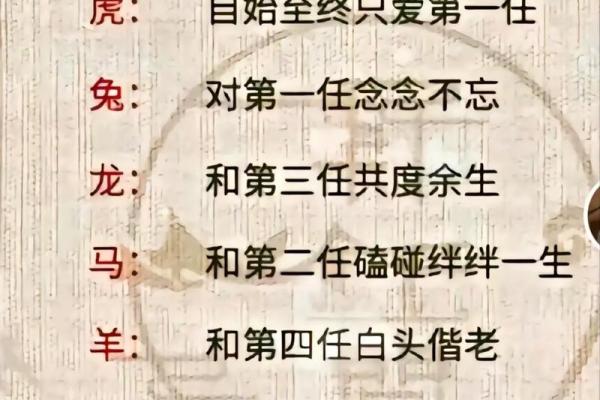 十二生肖最佳配对解析,揭秘你与TA的缘分 十二生肖最佳配对解析,揭秘你与TA的缘分