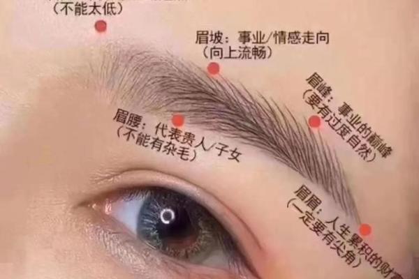 提升个人运势的眉毛风水法则 提升个人运势的眉毛风水法则
