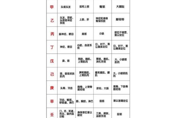 对应的生肖是什么 属相解析 对应的生肖是什么 属相解析