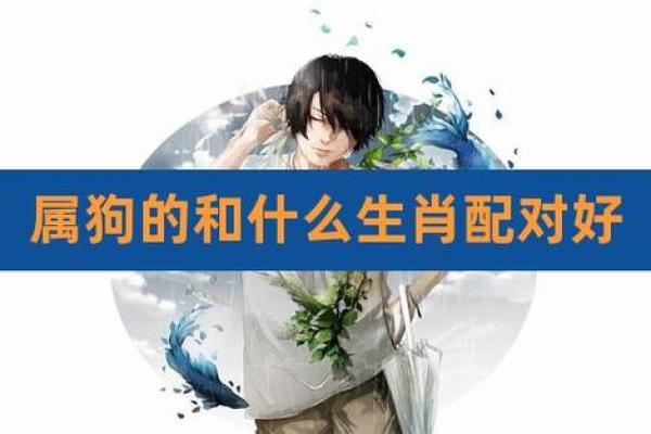出生的人属狗的生肖特征与运势分析 出生的人属狗的生肖特征与运势分析