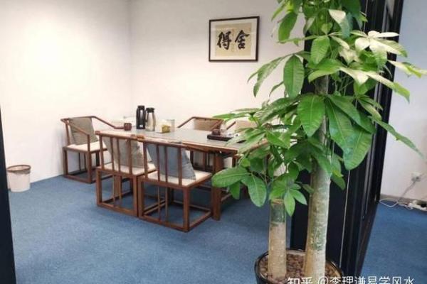 领导办公室风水禁忌 你必须知道的关键要素 领导办公室风水禁忌 你必须知道的关键要素