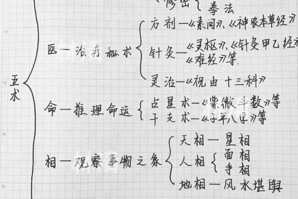 出生的命运与五行解析 出生的命运与五行解析