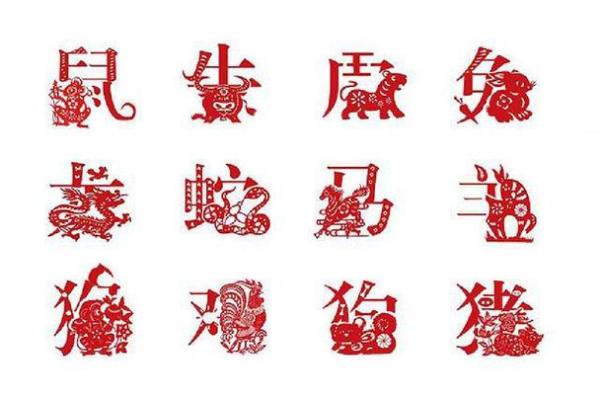 对应什么生肖 探索属相的秘密 对应什么生肖 探索属相的秘密