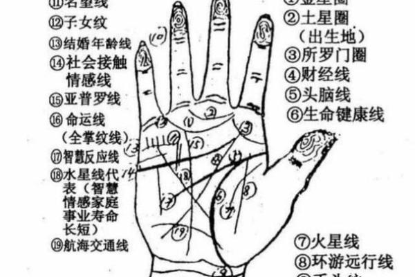 男命八字如何看早婚或晚婚的趋势 男命八字如何看早婚或晚婚的趋势