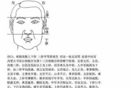 女人面相风水秘诀：如何通过面相改善事业发展