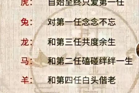 十二生肖最佳配对解析，揭秘你与TA的缘分