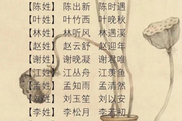 宝宝店起名技巧 实用建议与名字灵感全解析 宝宝店起名技巧 实用建议与名字灵感全解析