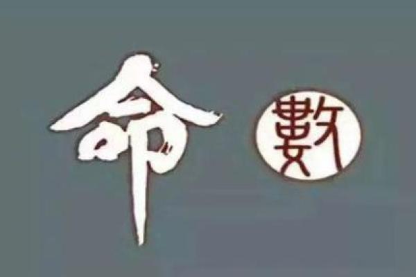 八字模型的未来趋势:从命理看人生轨迹 八字模型的未来趋势:从命理看人生轨迹