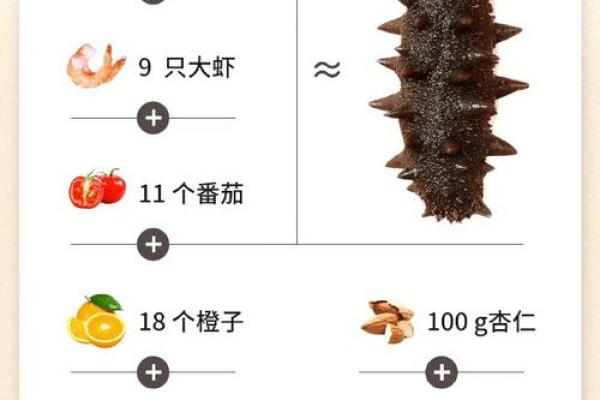 海参名字大全:探索不同海参的种类与特点 海参名字大全:探索不同海参的种类与特点