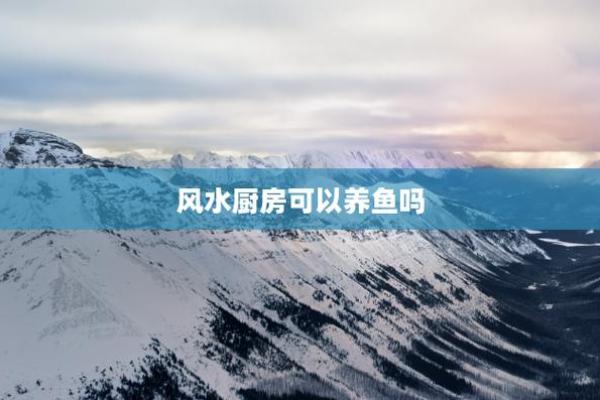提升财运与健康:养鱼风水的正确方式 提升财运与健康:养鱼风水的正确方式