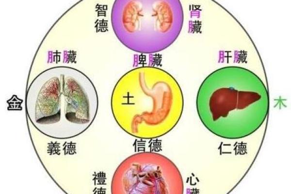 风水八卦理论的来源与所属派别分析 风水八卦理论的来源与所属派别分析