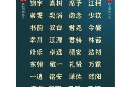 给属鸡男宝宝取名的最佳方法与建议