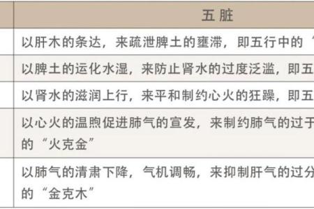 三界五行的基本概念与关系解析