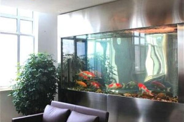 如何根据家居风水定做合适的鱼缸 如何根据家居风水定做合适的鱼缸