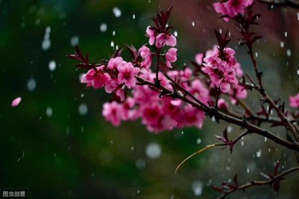 双重桃花八字的人生爱情旅程 双重桃花八字的人生爱情旅程
