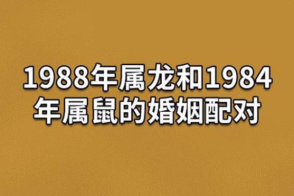 属鼠人的命格与生活轨迹揭秘 属鼠人的命格与生活轨迹揭秘