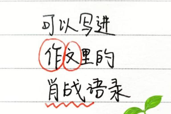 探索肖顺序背后的文化象征与人生启示 探索肖顺序背后的文化象征与人生启示