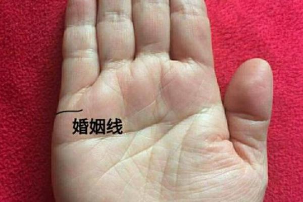 林峯八字分析:命运与事业的深层联系 林峯八字分析:命运与事业的深层联系