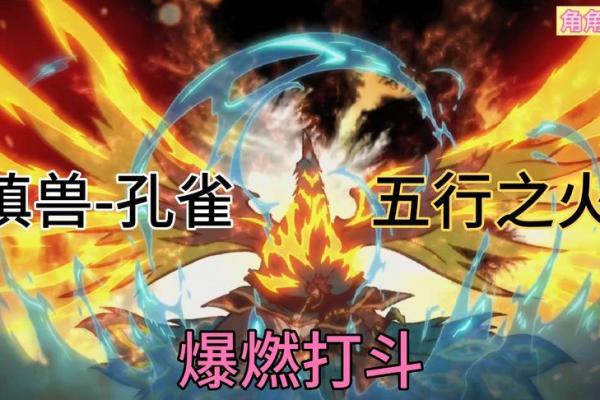 如何运用孔雀五行提升个人运势 如何运用孔雀五行提升个人运势