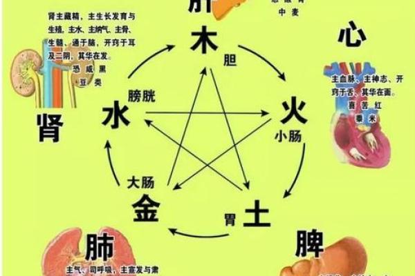 如何运用孔雀五行提升个人运势 如何运用孔雀五行提升个人运势