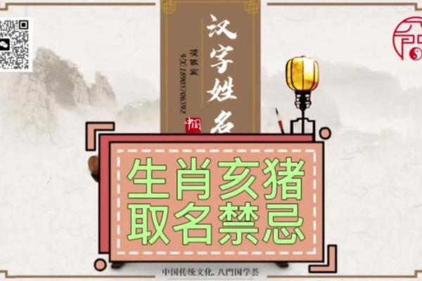 猪年宝宝起名技巧,打造独特幸运名字 猪年宝宝起名技巧,打造独特幸运名字