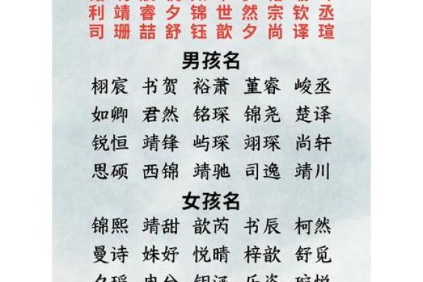 虎宝宝起名指南:如何融合传统与现代元素 虎宝宝起名指南:如何融合传统与现代元素
