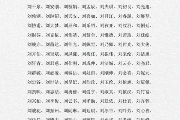 公司起名的重要性及如何选择一个合适的名称 公司起名的重要性及如何选择一个合适的名称