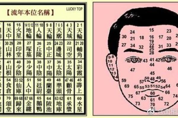 杨漫漫运势走势:如何利用风水与八字改善个人命运 杨漫漫运势走势:如何利用风水与八字改善个人命运
