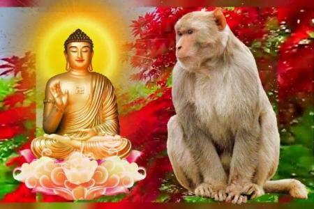 金榜题名与哪个生肖最相关？揭秘背后的生肖文化