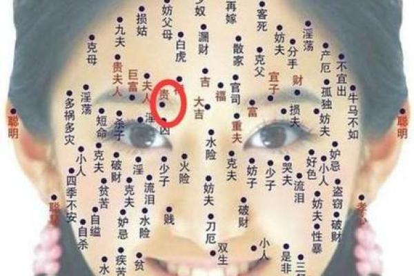 从五官美到面部风水:提升气场与形象的秘密 从五官美到面部风水:提升气场与形象的秘密