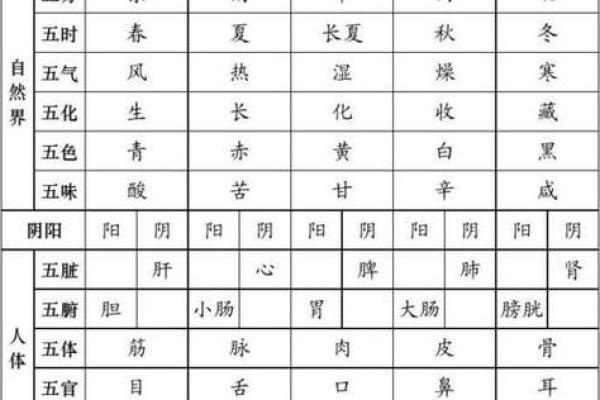 如何通过五行理论理解八卦的象征意义 如何通过五行理论理解八卦的象征意义