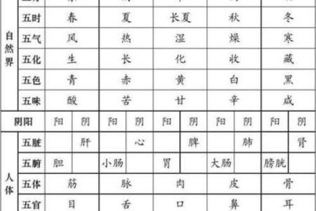 如何通过五行理论理解八卦的象征意义