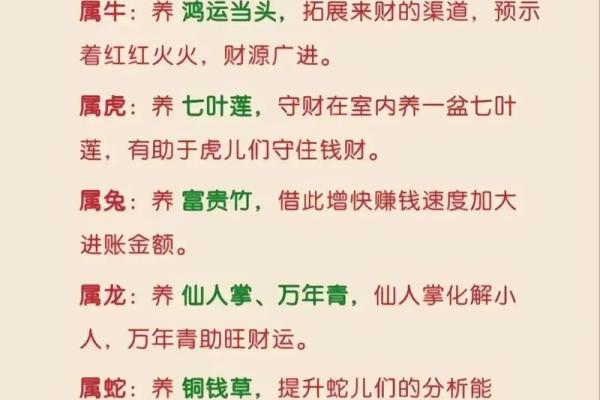如何提升属鼠人的运气与福运 如何提升属鼠人的运气与福运
