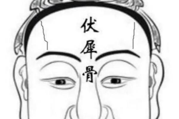 头像风水与面相学的关系及其运势影响 头像风水与面相学的关系及其运势影响