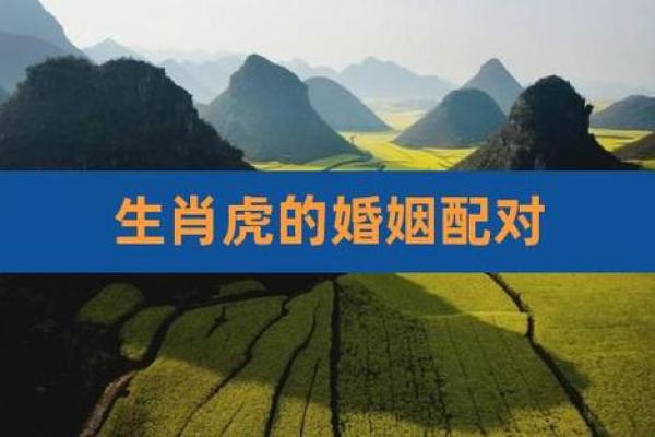 虎年出生的男性婚姻配对推荐 虎年出生的男性婚姻配对推荐