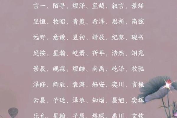 辰字在男孩名字中的独特寓意与选择技巧 辰字在男孩名字中的独特寓意与选择技巧