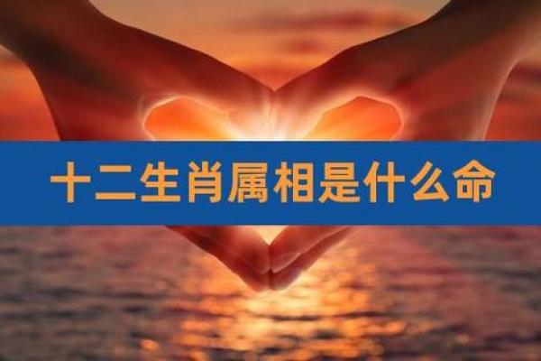 如何理解生肖排序对个人命运的影响 如何理解生肖排序对个人命运的影响