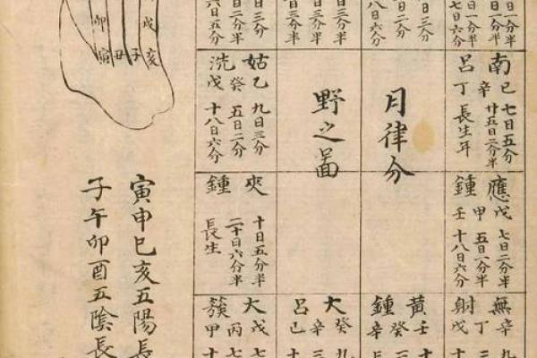 想学习八字算命的必备知识与技巧 想学习八字算命的必备知识与技巧