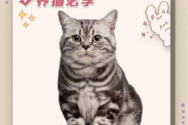 养猫风水秘籍:家中猫咪的能量与运气 养猫风水秘籍:家中猫咪的能量与运气