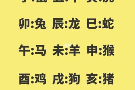 属什么生肖？如何推算自己的属相