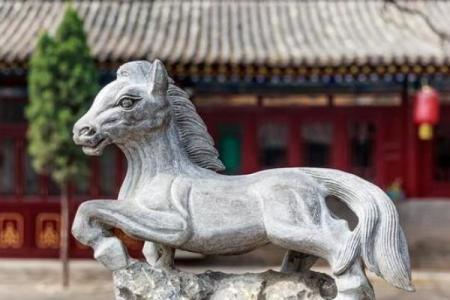 出生的人属马，分析属马人的金命特点与命运解析