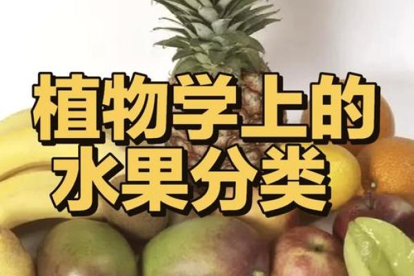 最难发音的水果大揭秘 最难发音的水果大揭秘
