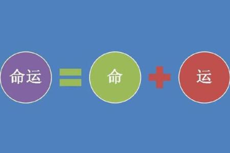 向佐八字分析：揭示命运背后的深层秘密