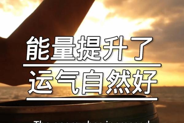 风水图片在办公室的应用,提升职场运势的关键 风水图片在办公室的应用,提升职场运势的关键