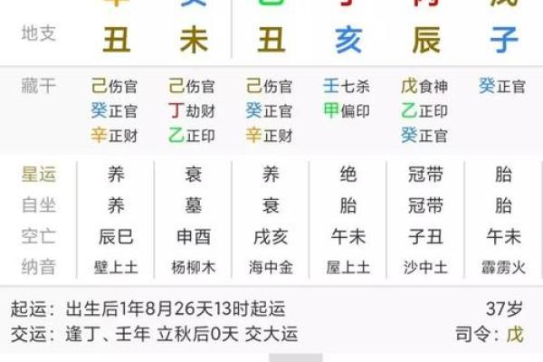 出生属狗的命运与运势发展 出生属狗的命运与运势发展