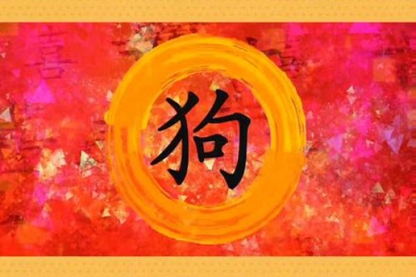 出生属狗的命运与运势发展 出生属狗的命运与运势发展